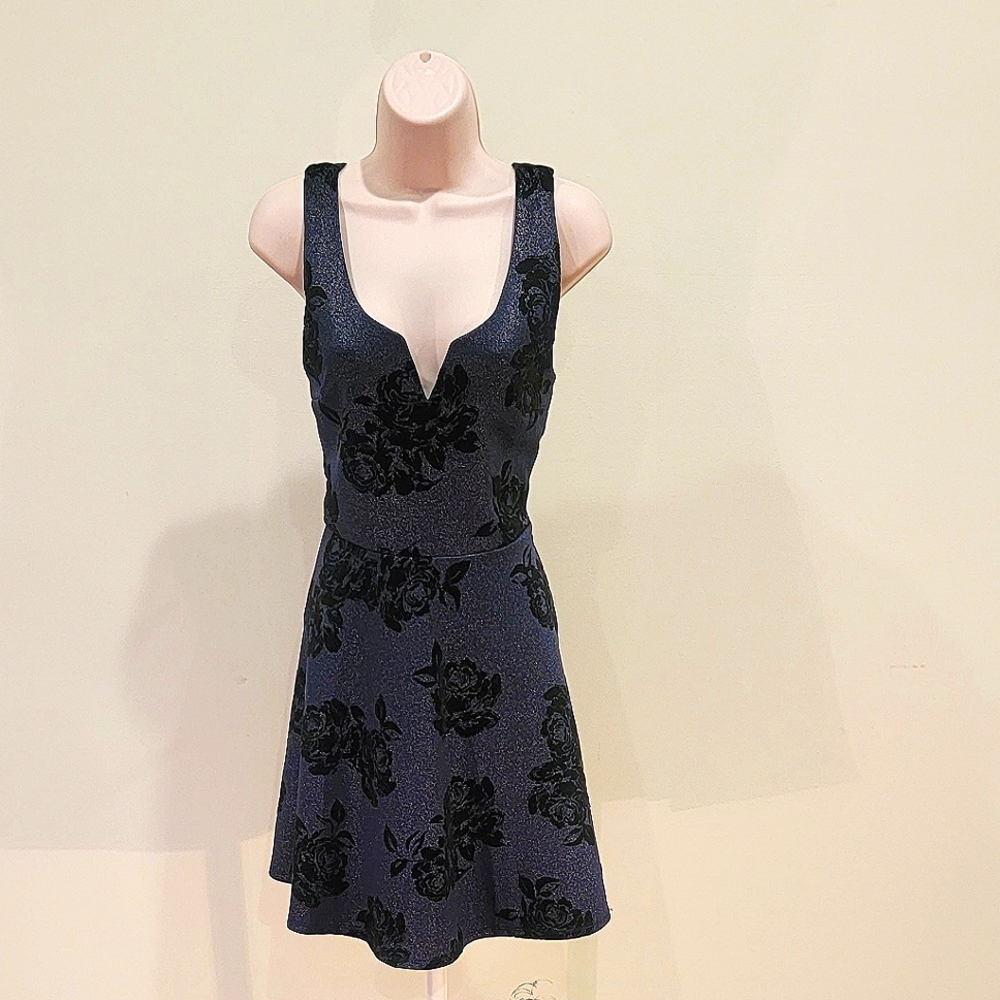 Blue Sleeveless Francesca's Dress